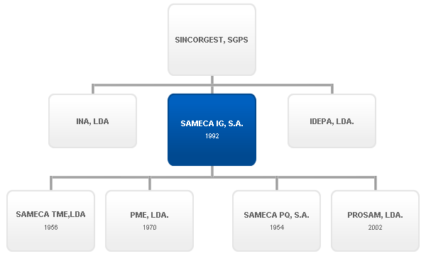 organograma